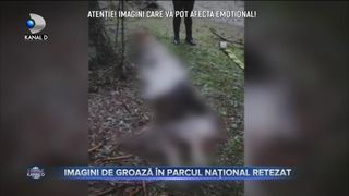 IMAGINI DE GROAZĂ &Icirc;N PARCUL NAȚIONAL RETEZAT