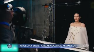 Angelina Jolie, ambasadoarea albinelor