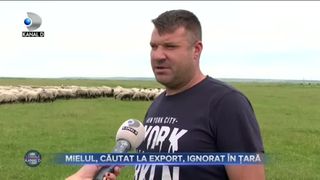 Mielul, căutat la export, ignorat &icirc;n țară