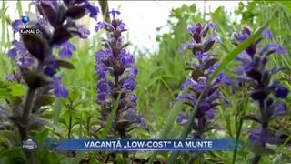 VACANȚĂ &bdquo;LOW COST&rdquo; LA MUNTE