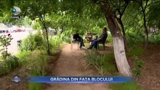GRĂDINA DIN FAȚA BLOCULUI