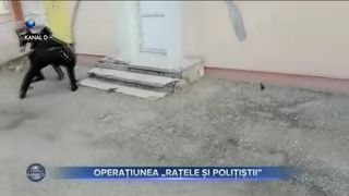 OPERAȚIUNEA &bdquo;RAȚELE ȘI POLIȚIȘTII&rdquo;