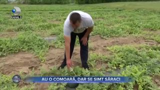 AU O COMOARĂ, DAR SE SIMT SĂRACI