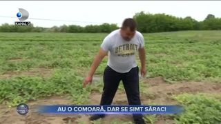 AU O COMOARA DAR SE SIMT SARACI