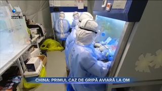 China - primul caz de gripă aviară la om