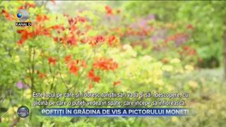 Poftiti in gradina de vis a pictorului Monet