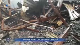 Probe ADN culese din cenușă