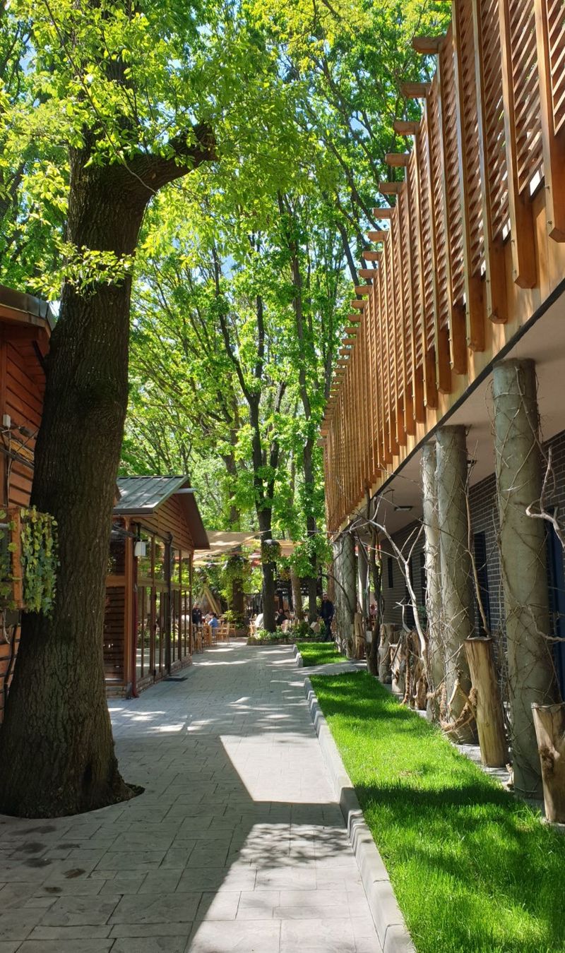 roventura 5 iunie 2021