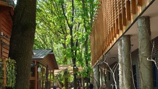 roventura 5 iunie 2021