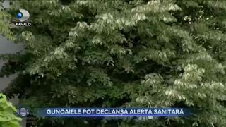 Gunoaiele pot declanșa alerta sanitară
