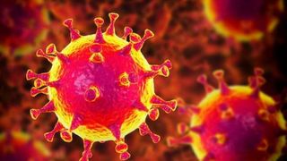 OMS, anunţ îngrijorător: "Noul coronavirus nu va fi eradicat prea curând"