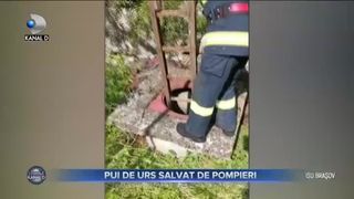 PUI DE URS SALVAT DE POMPIERI