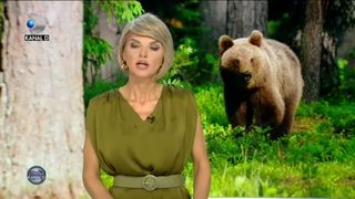 URȘII AU SPERIAT SUFLAREA MOLDOVEI