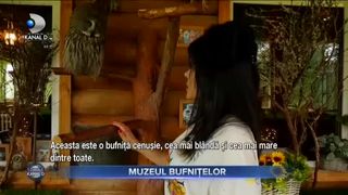 MUZEUL BUFNIȚELOR