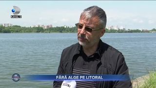 FĂRĂ ALGE PE LITORAL