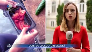 UCIȘI DE &bdquo;SOSUL&rdquo; DIN SALATĂ