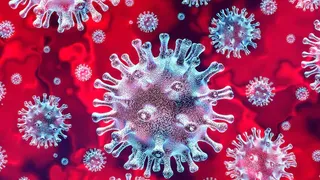 Bilanț coronavirus Rom&acirc;nia 12 iunie: 127 de cazuri noi şi 5 decese &icirc;n ultimele 24 de ore