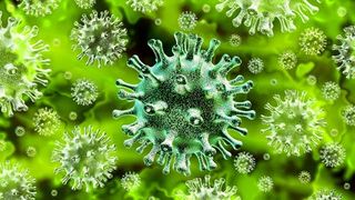 Bilanț coronavirus 13 iunie 2021 Rom&acirc;nia: 69 de cazuri noi