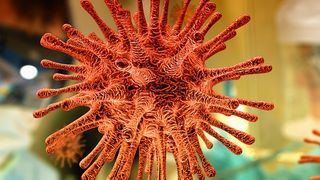 noi doze de ser pfizer