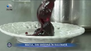 MACUL, DIN GRĂDINĂ, &Icirc;N DULCEAȚĂ