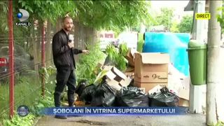 ȘOBOLANI &Icirc;N VITRINA SUPERMARKETULUI