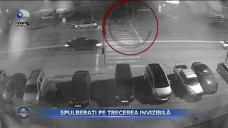 SPULBERAȚI PE TRECEREA INVIZIBILĂ