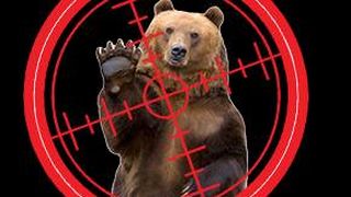 VIDEO - Împușcarea urșilor periculoși. Nu se știe ce exemplare pot fi ucise