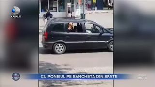 CU PONEIUL PE BANCHETA DIN SPATE