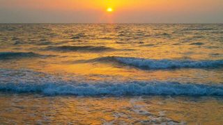 asistenta eroină din italia