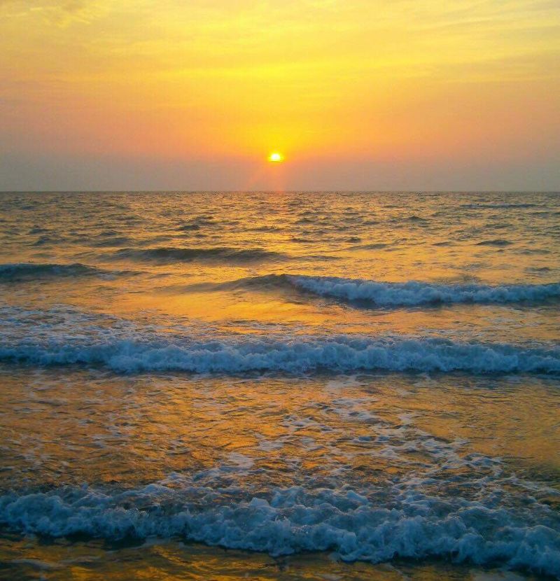 asistenta eroină din italia