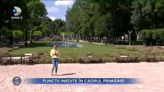 FUNCȚII INEDITE &Icirc;N CADRUL PRIMĂRIEI