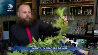 MENTA, O AFACERE DE AUR