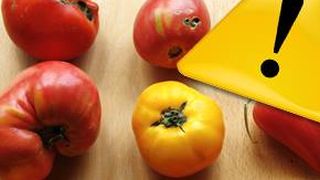 VIDEO - Roșii mutante, cumpărate dintr-o piață din Capitală, pe internet