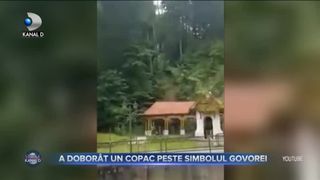 A doborât un copac peste simbolul Govorei