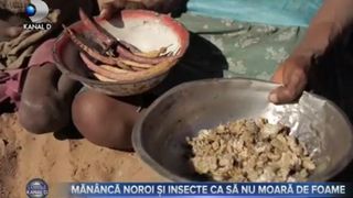 VIDEO| Copiii care se hrănesc cu plante și insecte ca să nu moară de foame