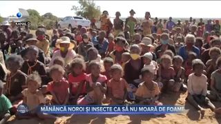 Măn&acirc;ncă noroi și insecte ca să nu moară de foame