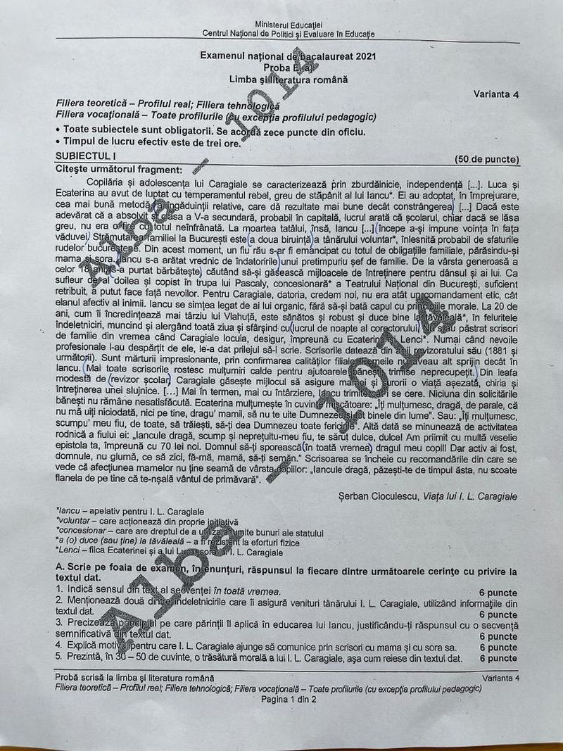 Subiecte Română BAC 2021