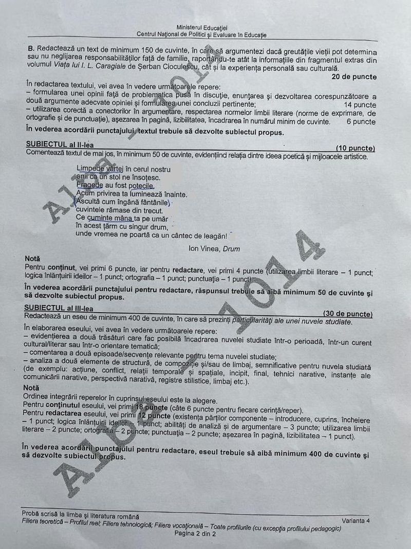 Subiecte Română BAC 2021