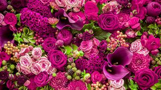 Mesaje de Sf.  Petru si Pavel 2021 pentru cei care poartă numele acestor sfinți. Fecilitări şi urări cu La mulți ani!