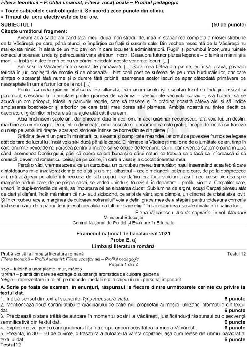 Subiecte Română 2021