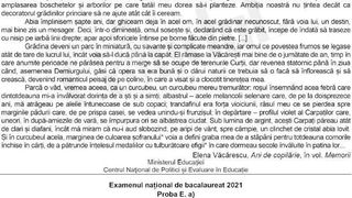 Subiecte Română 2021