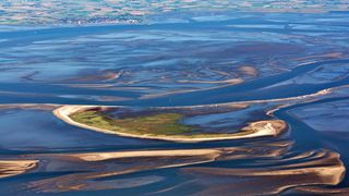 Marea Wadden este considerată una din cele mai importante zone pentru păsările migratoare