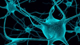 Subiecte Biologie BAC 2021 Edu.ro. Ce a picat la ultima probă scrisă. Barem de corectare