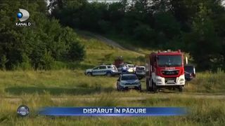 Dispărut &icirc;n pădure