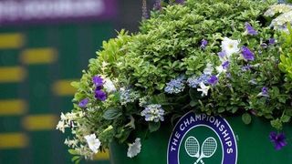Vești bune pentru o rom&acirc;ncă care participă la Wimbledon