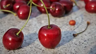 Pandişpan cu cireşe. Rețeta copilăriei