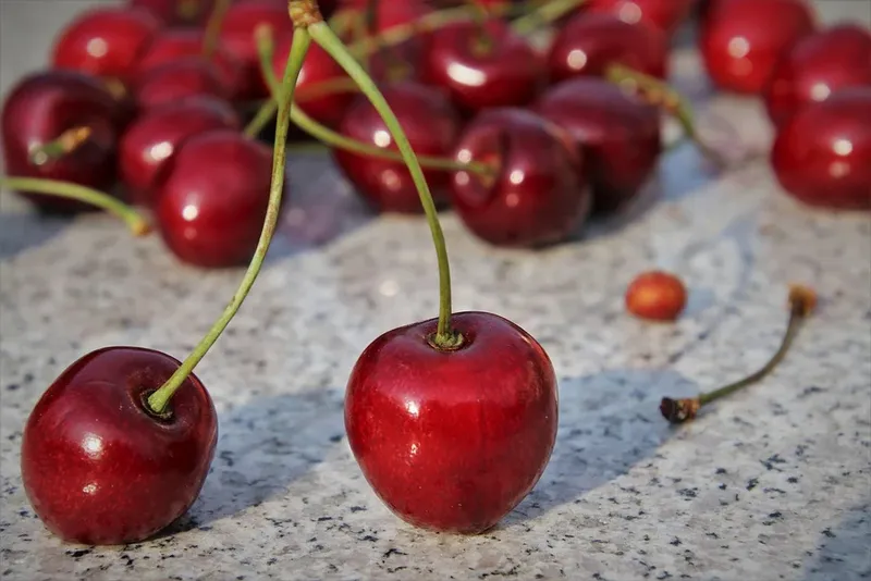 Pandişpan cu cireşe. Rețeta copilăriei