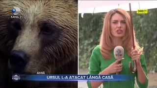 Ursul l-a atacat langa casa