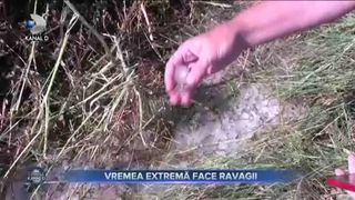 Vremea extrema face ravagii