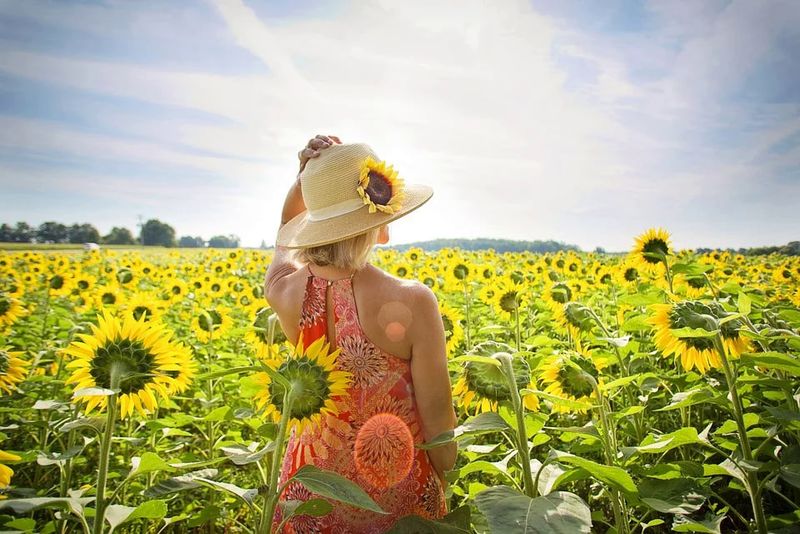  Vremea pe litoral în weekendul 10-11 iulie 2021